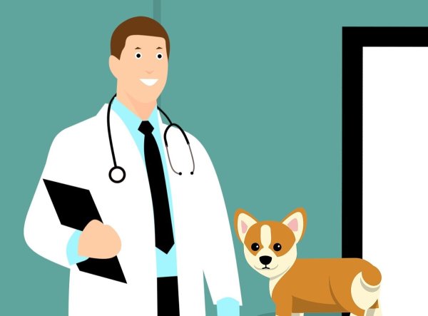 Ветеринар анимация