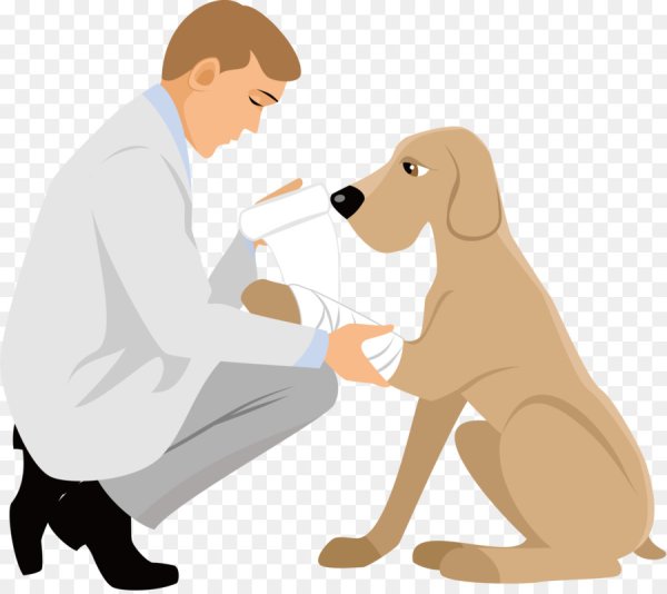 Иллюстрации Ветеринария