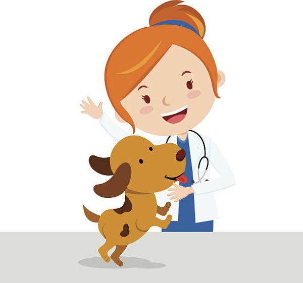 Ветеринар для детей