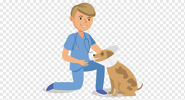 Ветеринар мультик