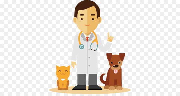 Стикеры ветеринар