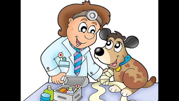 Ветеринар рисунок