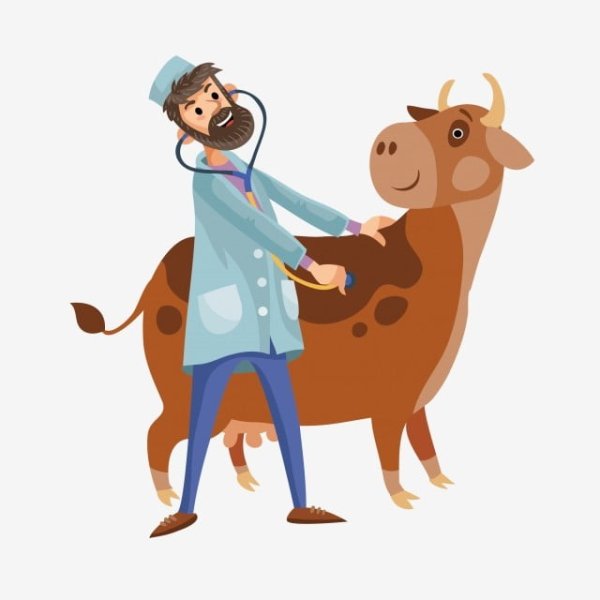 Ветеринар на прозрачном фоне