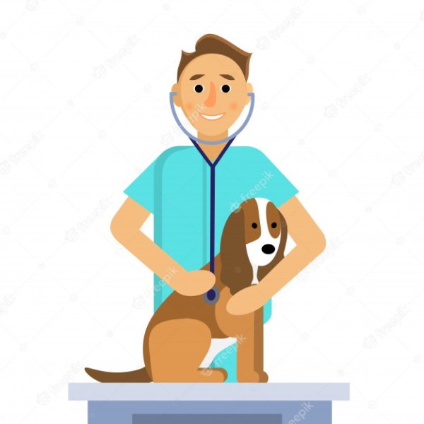 Ветеринар визуализация вектор