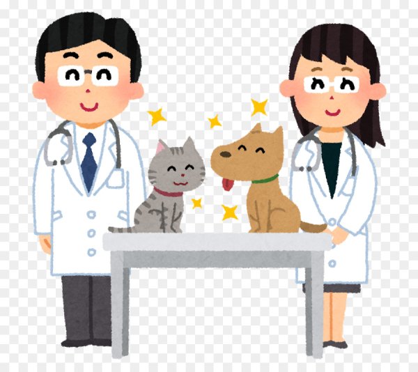 Ветеринария для детей