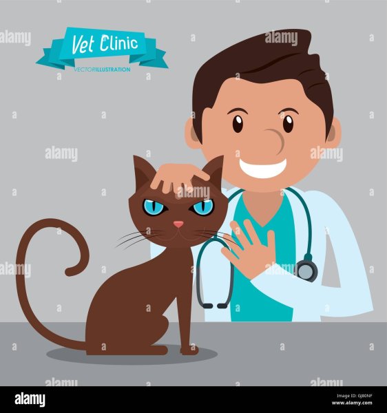 Стикеры ветеринар