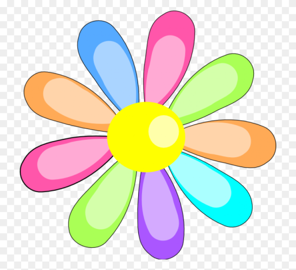 Ромашка с разноцветными лепестками