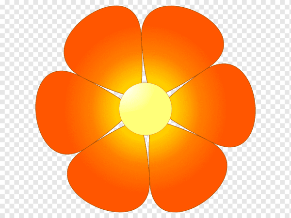 Лепесток цветка