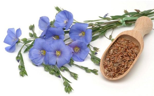 Лен на прозрачном фоне