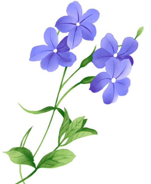 Лен на белом фоне