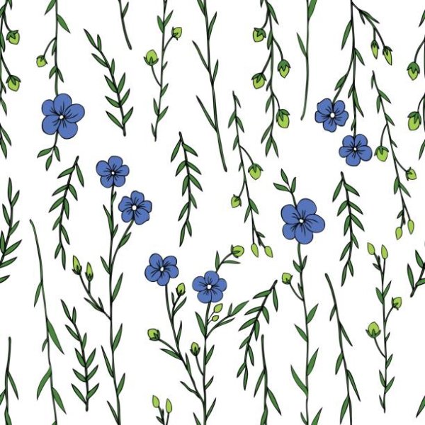 Цветок льна вектор