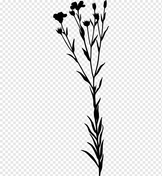 Полевые травы силуэт