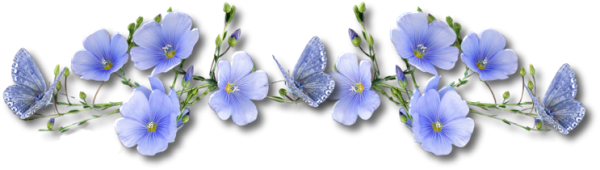 Цветы льна на прозрачном фоне