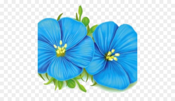 Цветок картинка для детей на прозрачном фоне