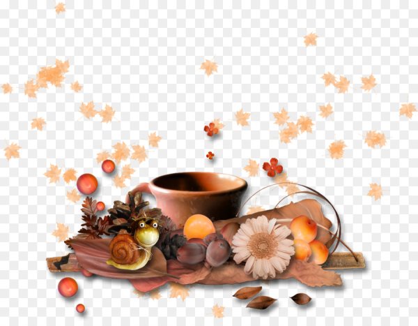 Осеннее утро на прозрачном фоне