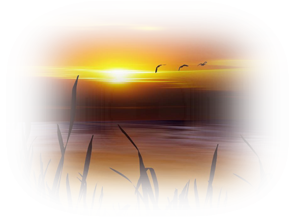 Раннее утро клипарт