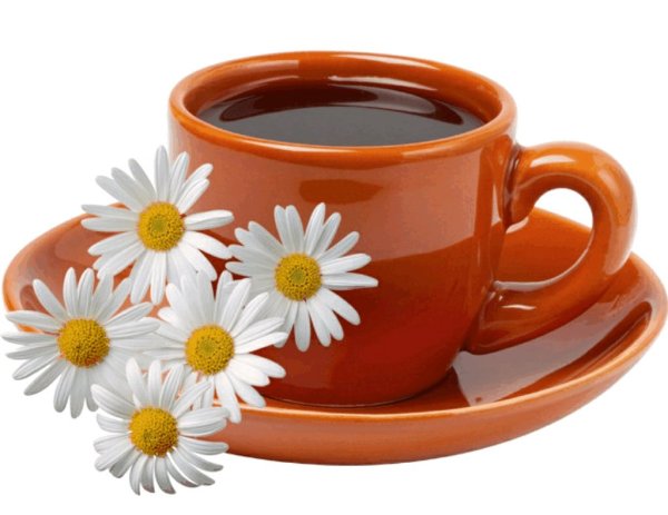 Доброе утро на белом фоне