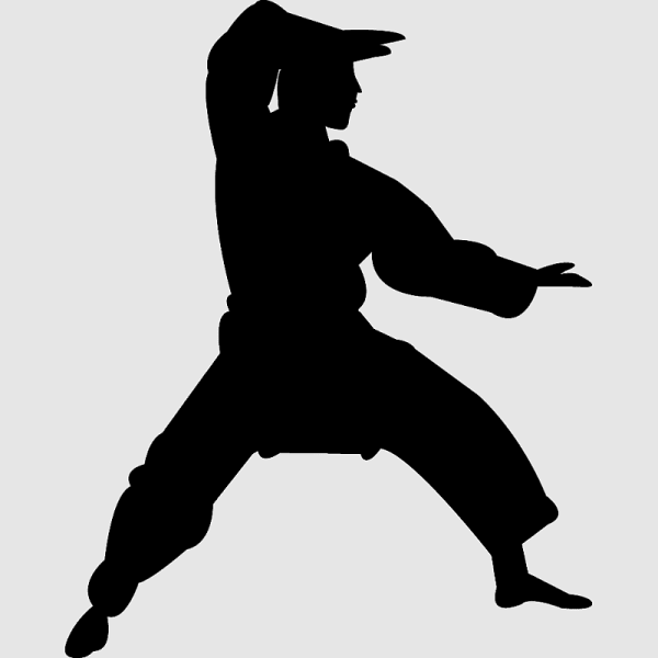 Karate Kyokushin silhouette