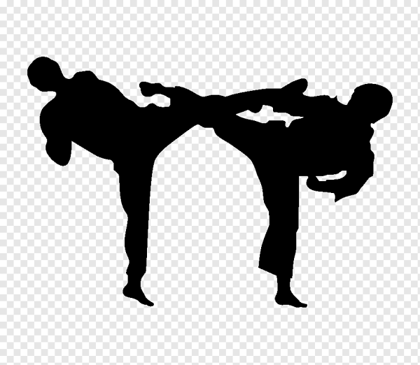 Силуэт единоборства