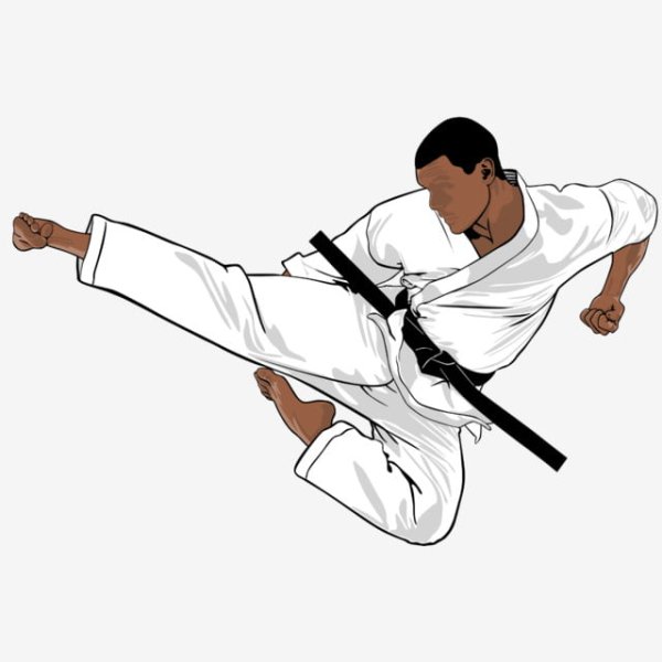 Карате иллюстрация
