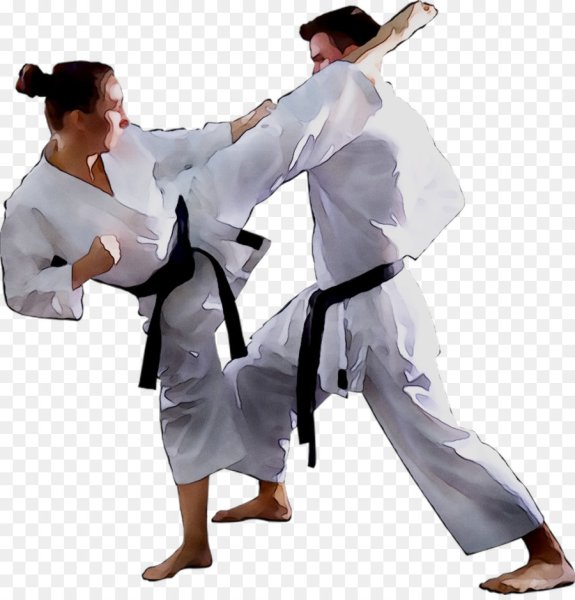 Карате кукинсай