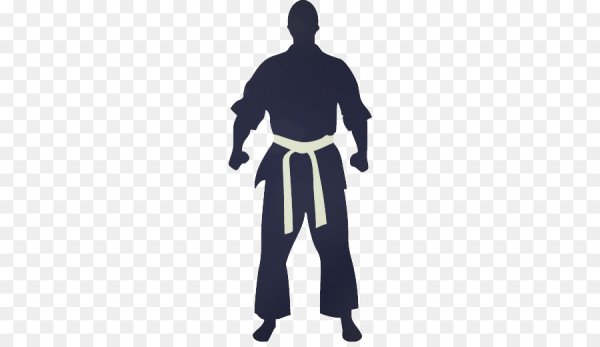 Силуэт каратист в стойке