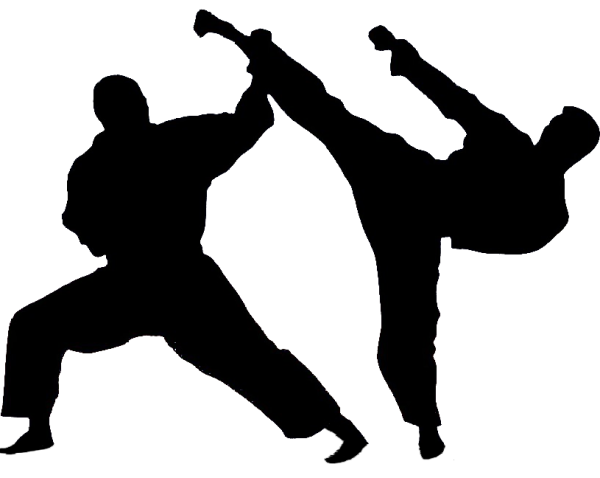 Каратист силуэт