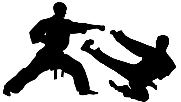 Силуэт единоборства