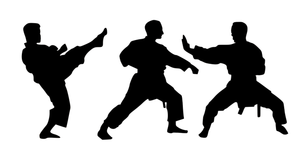 Силуэт единоборства