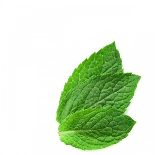 Мята листочки