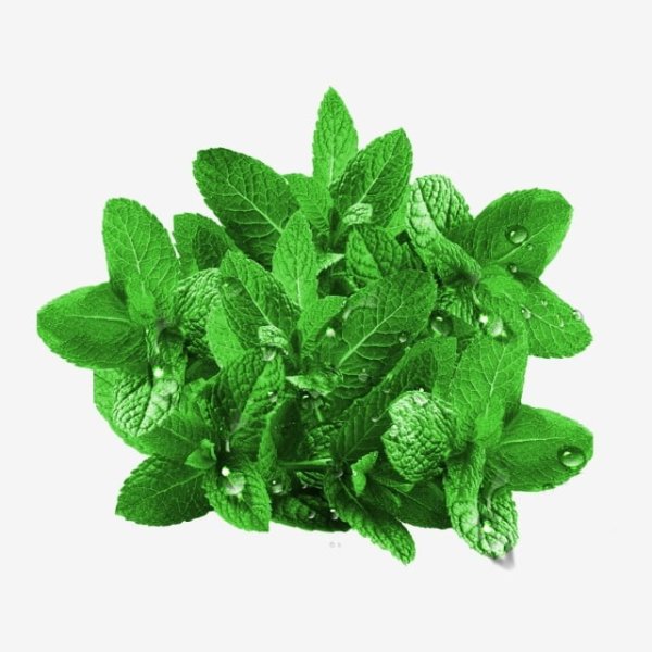 Мята перечная пучок