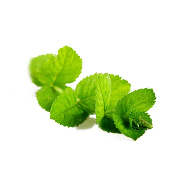 Листья мяты