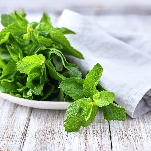 Зелень мята на подложке 50г