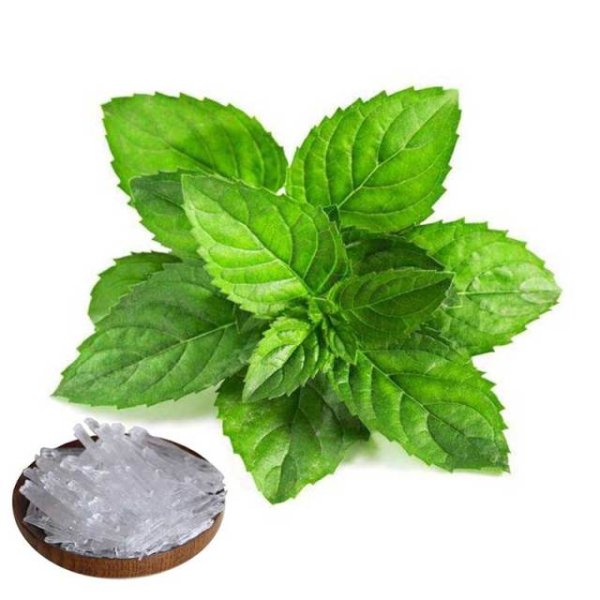 Мята листья