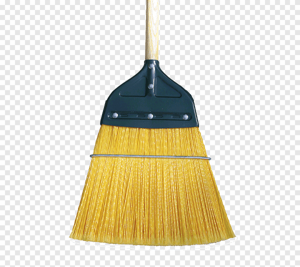 Метла желтая