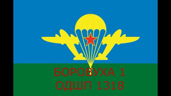 Боровуха 1 357 полк ВДВ