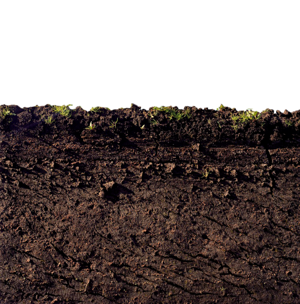 Земля коричневый