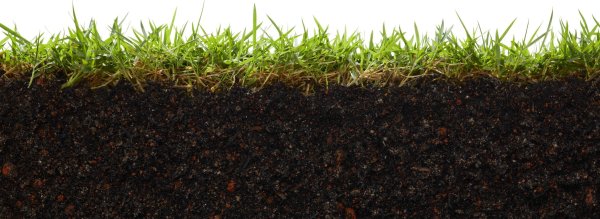 Земля с травой