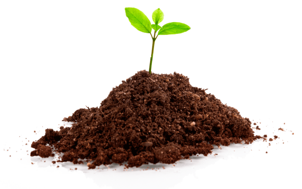 Кучка земли