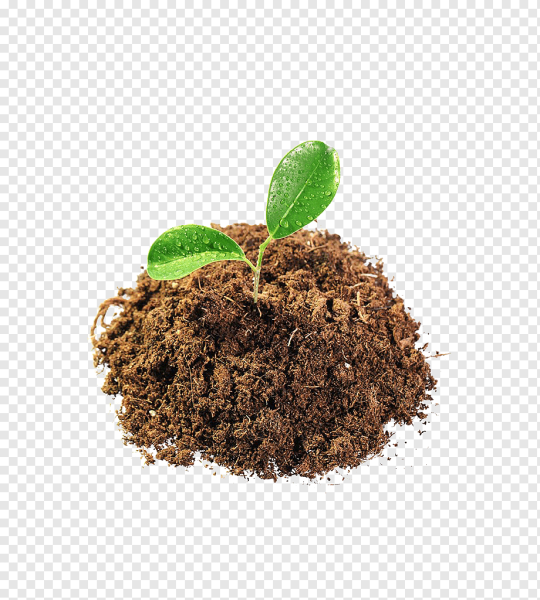 Земля почва