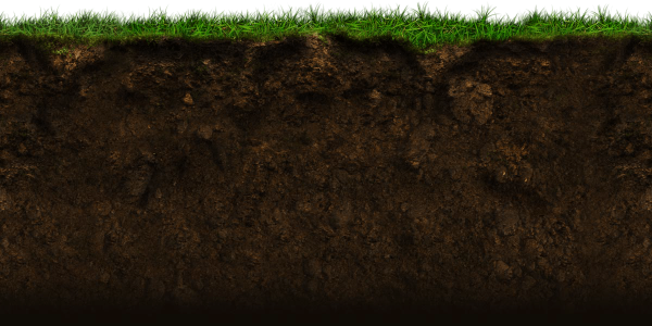 Почва без фона