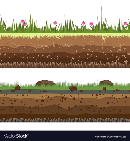 Почва вектор