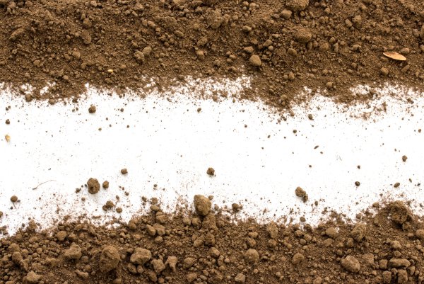 Земля чернозем на белом фоне