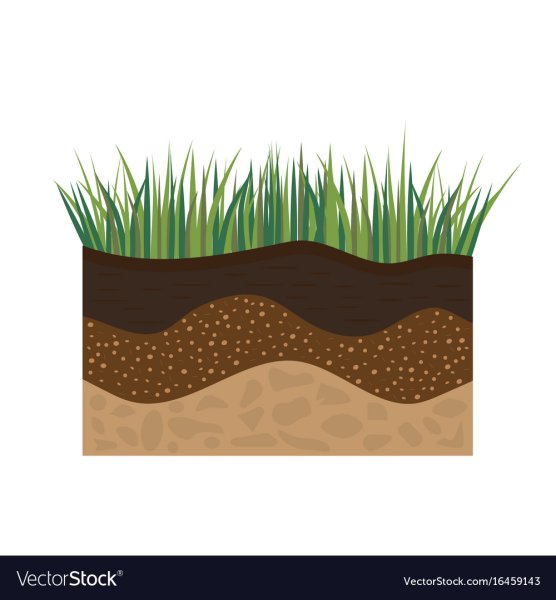 Почва клипарт на прозрачном фоне