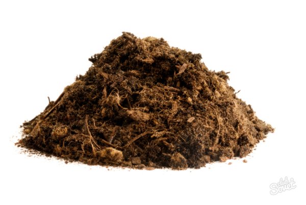 Кучка навоза