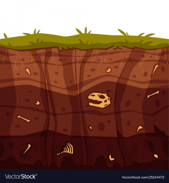 Земля в разрезе вектор