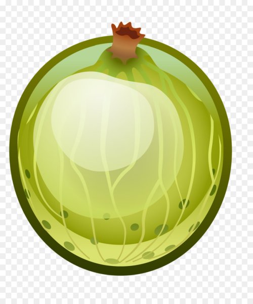 Крыжовник для детей