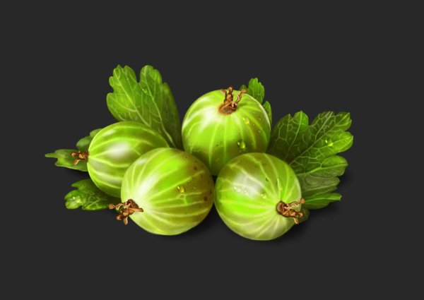 Крыжовник Джоселин