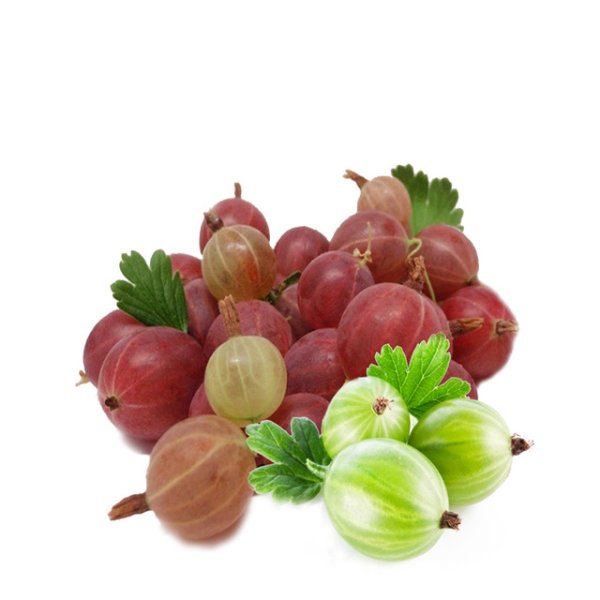 Крыжовник ягода