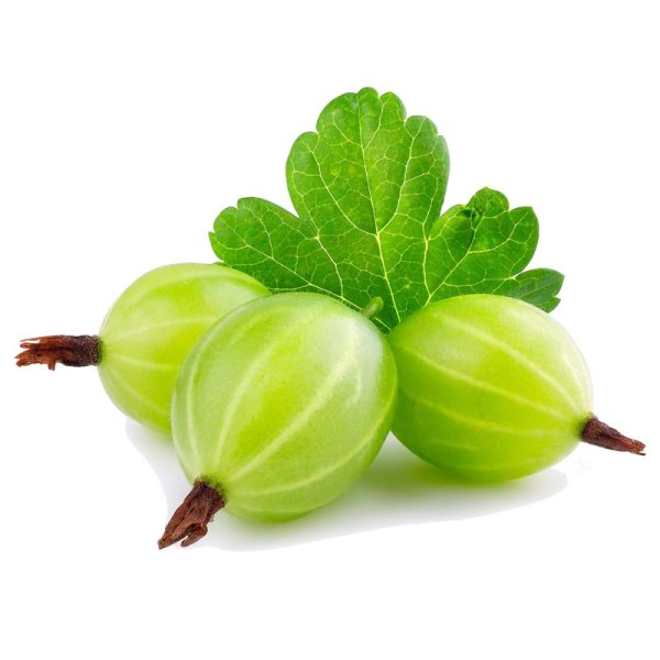 Крыжовник ягода